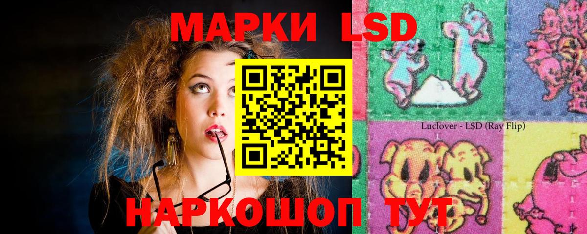 Конопля Губаха