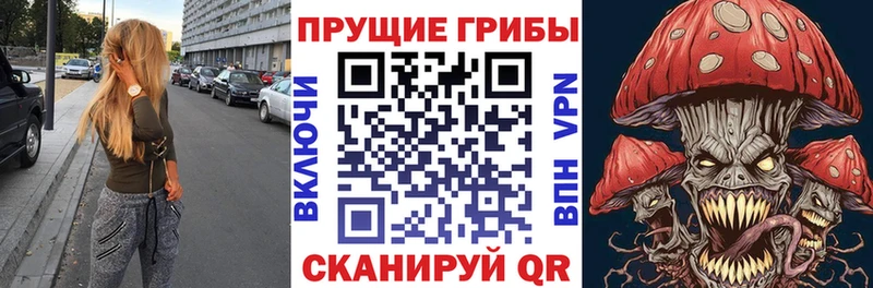 Псилоцибиновые грибы GOLDEN TEACHER  Губаха 