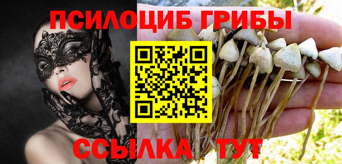 наркота  Губаха  Галлюциногенные грибы GOLDEN TEACHER 